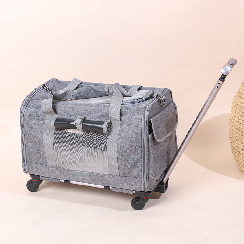 Transportín Plegable y Transpirable para Gatos con Asa Extensible