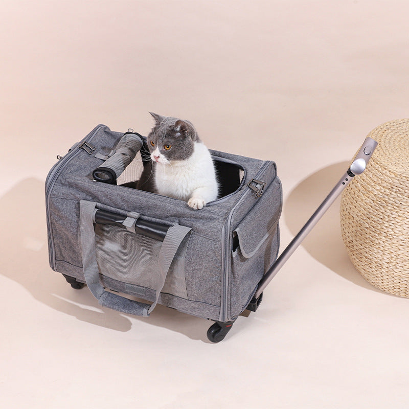 Transportín Plegable y Transpirable para Gatos con Asa Extensible