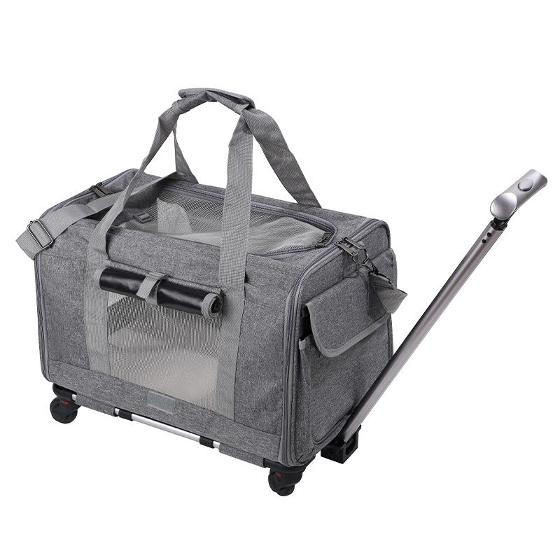 Transportín Plegable y Transpirable para Gatos con Asa Extensible