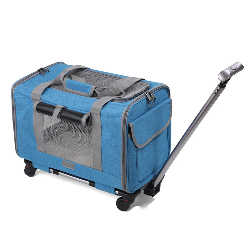 Transportín Plegable y Transpirable para Gatos con Asa Extensible