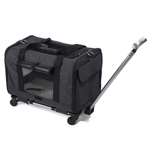 Transportín Plegable y Transpirable para Gatos con Asa Extensible