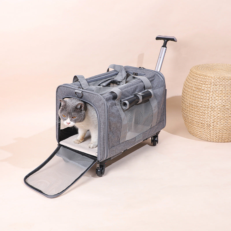 Transportín Plegable y Transpirable para Gatos con Asa Extensible