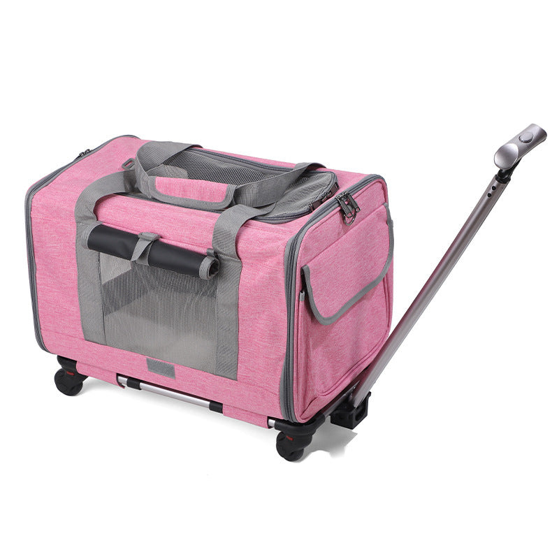 Transportín Plegable y Transpirable para Gatos con Asa Extensible